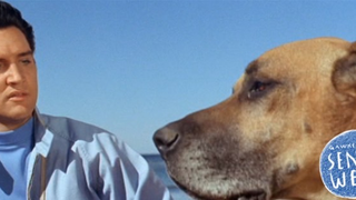 Elvis Presley's 7 Most Bizarre Movie Moments